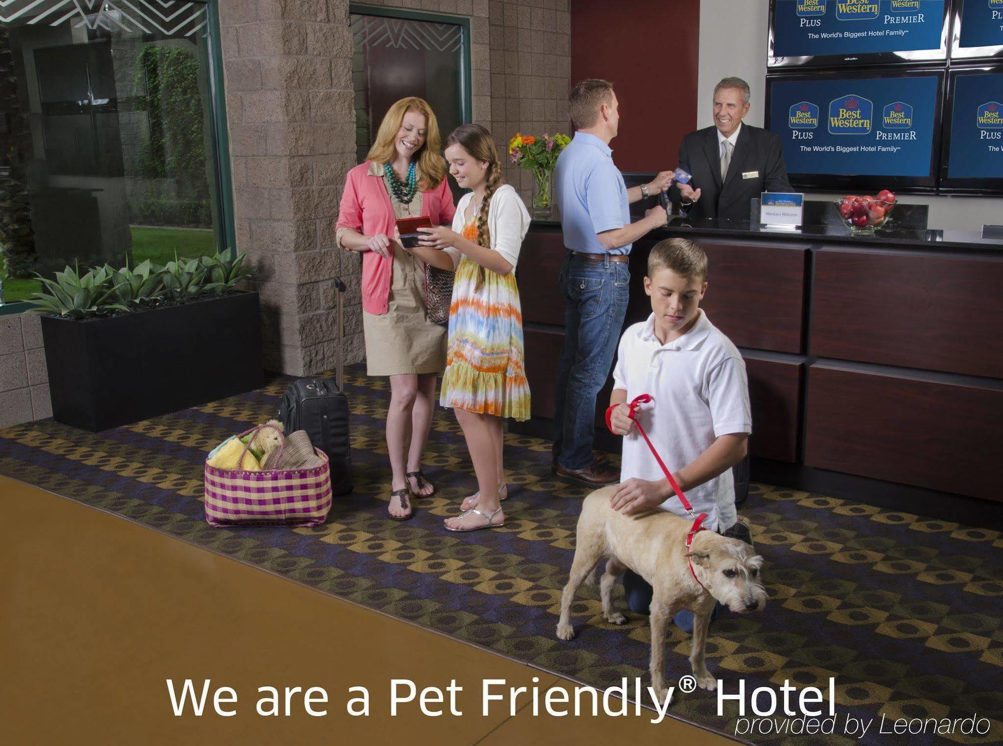 Surestay Plus Hotel By Best Western Mountain View Dış mekan fotoğraf